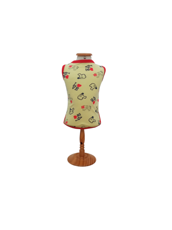 Blusa Regata